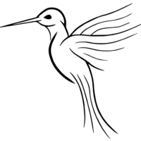 kolibri
